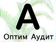 Оптим Аудит